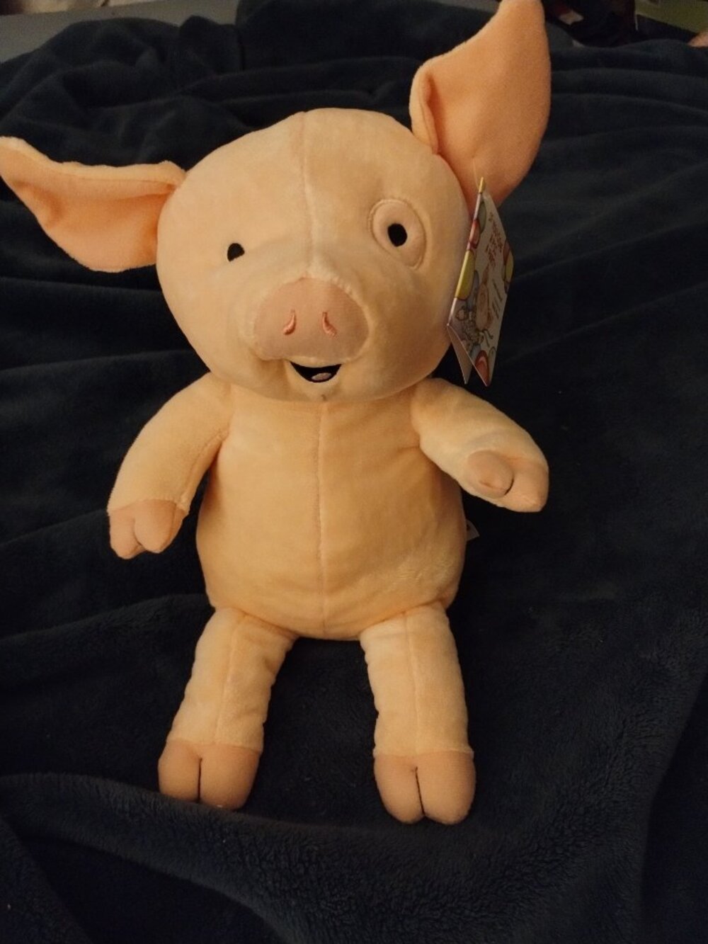 If You Give a Pig a Party plush toy,new